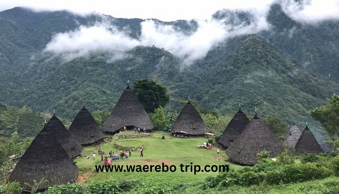 Waerebo Village. trekking wae rebo, trip waerebo, wae rebo tour, wae rebo trekking, wae rebo trip, waerebo open trip,