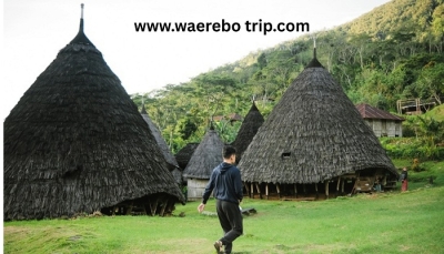 Waerebo Village, Waerebo open trip, Waerebo labuan bajo, waerebo, Waerebo Trip 2D1N, Waerebo Package, Waerebo Village.